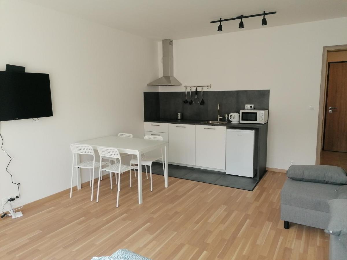 Brand New Studio Apartment #62 With Free Secure Parking In The Center Praha Eksteriør bilde